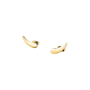 SAYP11.webp