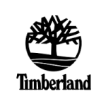 timberland orologi
